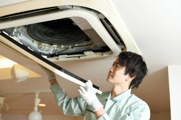 Best Dryer Vent Cleaning Services  in Ridgely, TN