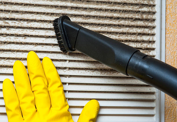 Best Air Vent Cleaning Services  in Ridgely, TN